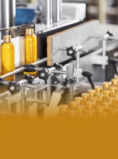 कैपेसिटी बिल्डिंग प्रोग्राम