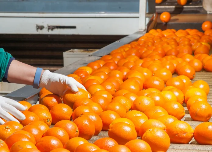 Export-Oriented Agro Products