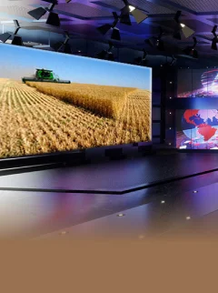 विडियो एरिना